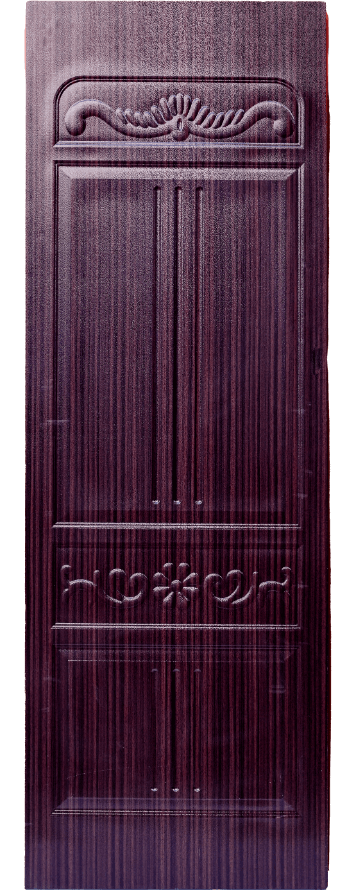 V Door Sandwich Panel